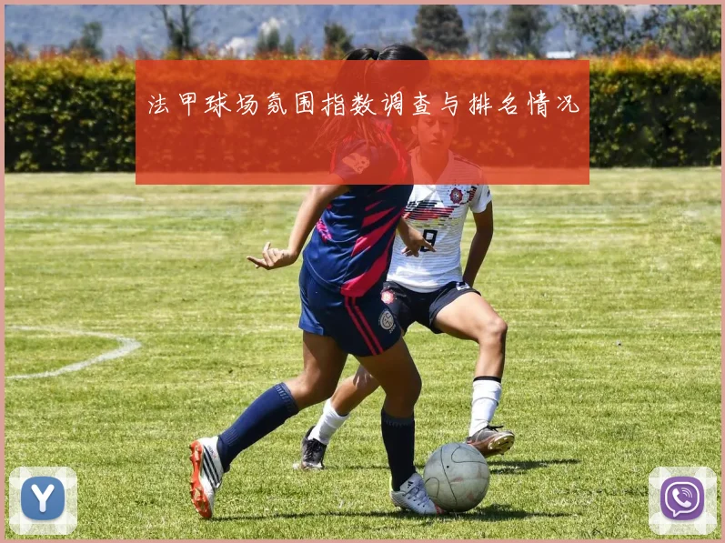法甲球场氛围指数调查与排名情况