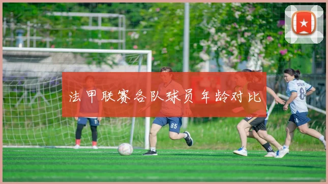 法甲联赛各队球员年龄对比